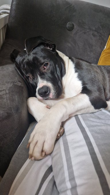 Had a great time away but can't wait to get home to see my gorgeous big girl.  Feel like I've aged about