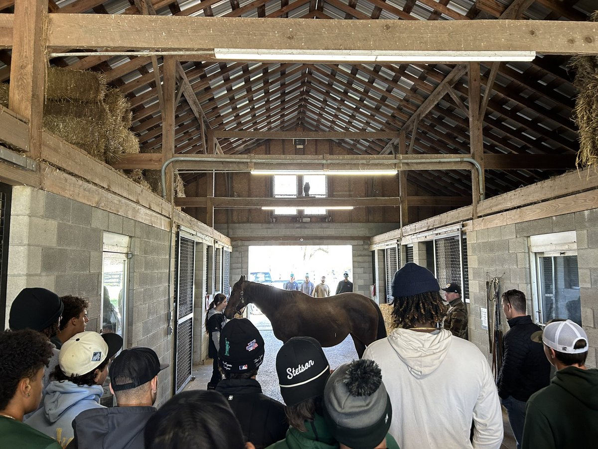 Many thanks to @StetsonBaseball alum Nate Heiple and his wife Lauren and future 🎩 Graham for showing us how an elite thoroughbred farm runs! Seeing those beautiful horses and the process to get them to the derby was a once in a lifetime experience! Go Hats!