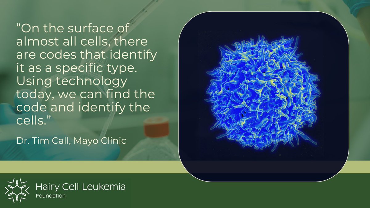 Cells have markers on their surface that identify them as a specific type. Flow cytometry allows us to identify the markers and the cell. During our last webinar, Dr. Tim Call discussed this fascinating process: hairycellleukemia.org/february-2024-…