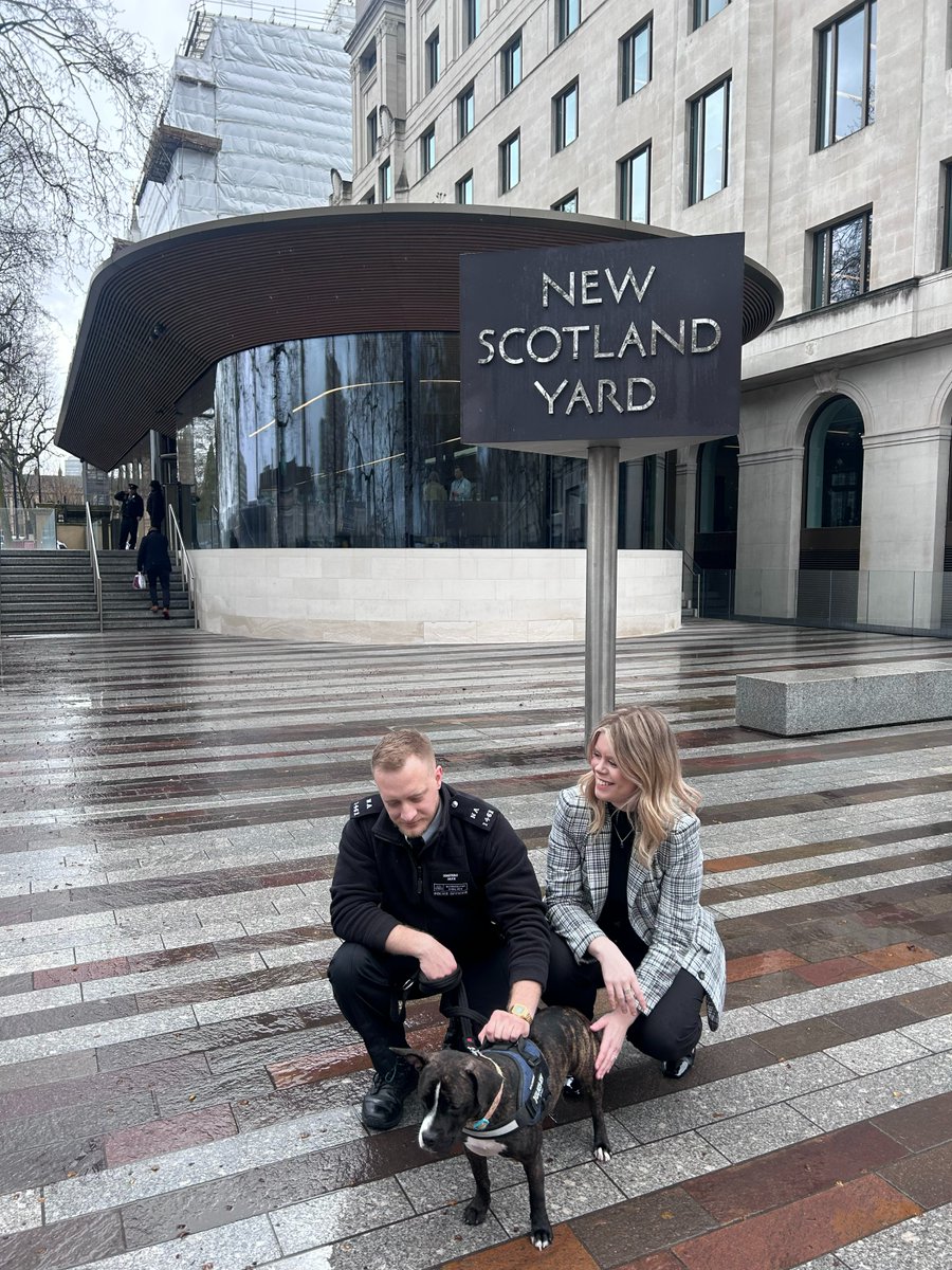 A rescued pup is enjoying her new life with PC Joe Allen and DC Jade Peirce. Stella, a staffie cross was rescued by PC Joe in December 2023 after she was abandoned in a block of flats in Tottenham.