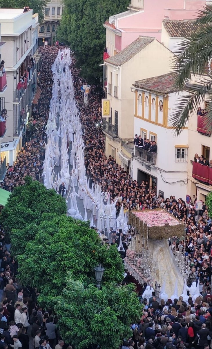 🔴 Tres días después de un histórico #LunesSanto, en esta tarde del #JuevesSanto, nuestra Hermandad de #SanGonzalo supera en esta red social los 40.000 seguidores, convirtiéndose en la 4ª corporación cofradiera de Sevilla y de Andalucía en alcanzar estas cifras, ¡muchas gracias!