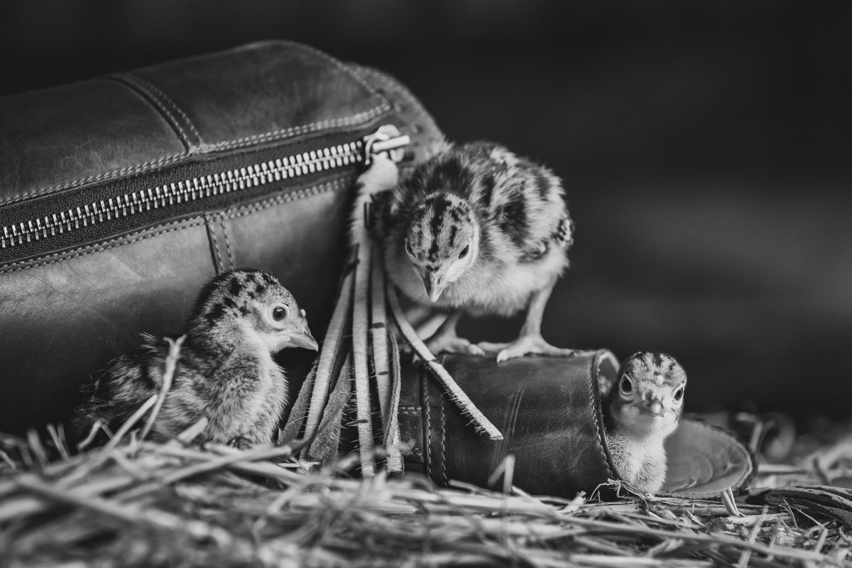 Our Monthly Image Competition comes to an end tomorrow, stay tuned for the March results on the 15th of April!👀 
© - Lucy Newson