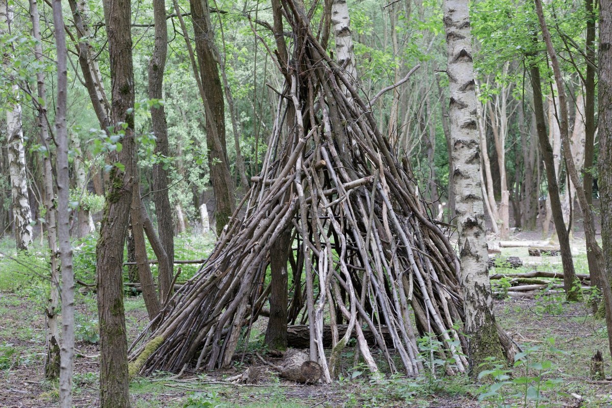 🌿 Make a lean-to den! It’s den-making season, and you can learn how to help your children to make the perfect den in the latest issue of magazine. Spoiler alert... choose your branches wisely! 📸 © Alamy