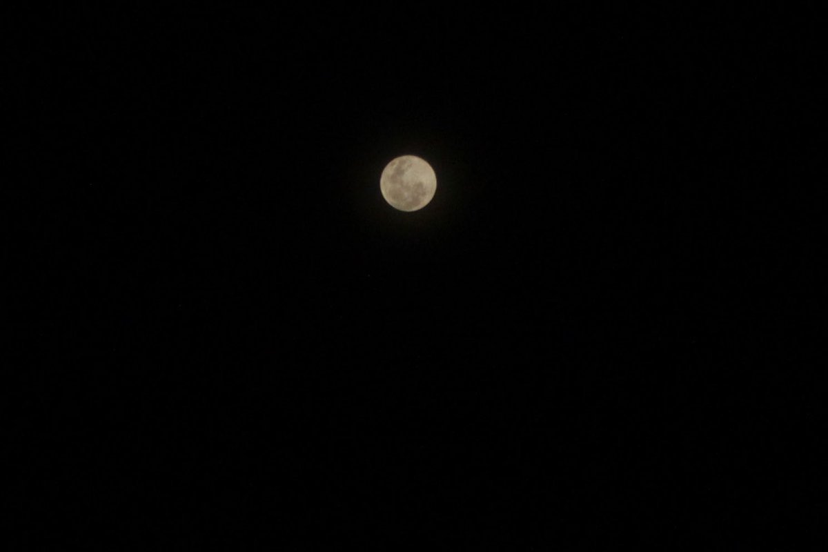 edgar_mutungi's tweet photo. Gazing up at the night sky, the moon's gentle glow reminds us of the boundless good luck and endless possibilities it symbolizes. 

Carrying its radiant optimism into our lives, lighting the path to fortune and happiness. 🌕✨ 

#MoonLuck #GoodFortune
#MoonPictures https://t.co/WRpUYyP9DK
