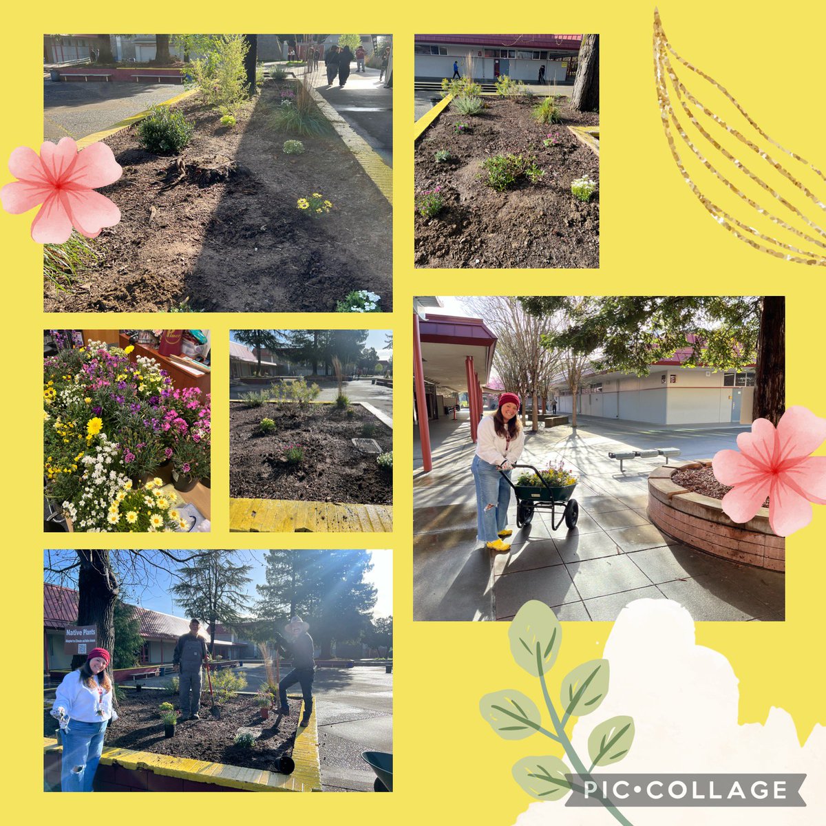 Ready for a bit of rain to set! Then let spring begin! Thanks to Antonio &amp; Juan for always saying yes when I asked them to get muddy with me! Quad planter refresh, check! ✔️ <a href="/PinerHighSchool/">Piner High School</a>