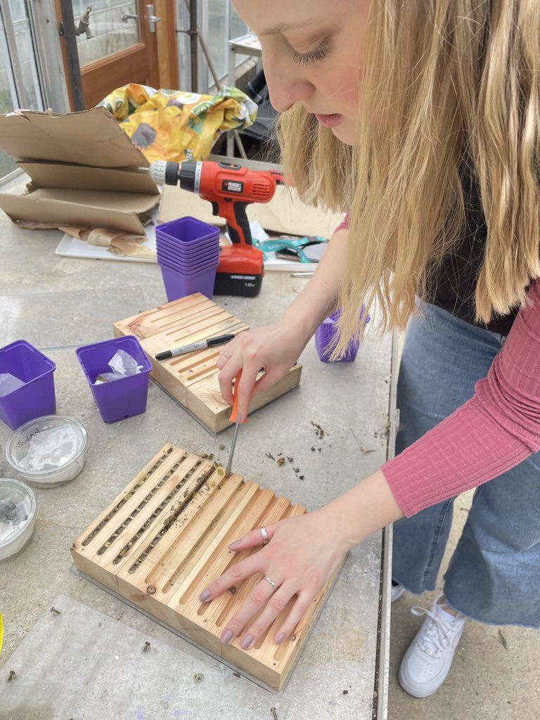 Getting our @SussexUni @SussexBiology solitary bee nest boxes ready for The Big Bee Hotel Experiment - and we’ll carefully monitor the occupants from last year and see what emerges! thebuzzclub.uk/thebigbeehotel… @The_Buzz_Club @SussexLifeSci