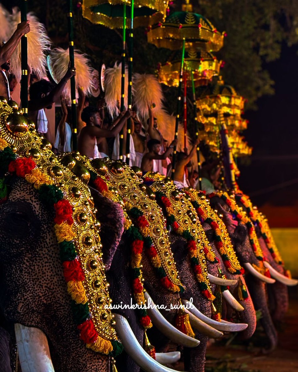 aswinkrishna47's tweet photo. Story of pooram 
#pooram #Kerala #KeralaStory #thrissur https://t.co/W0J1xZgNJg