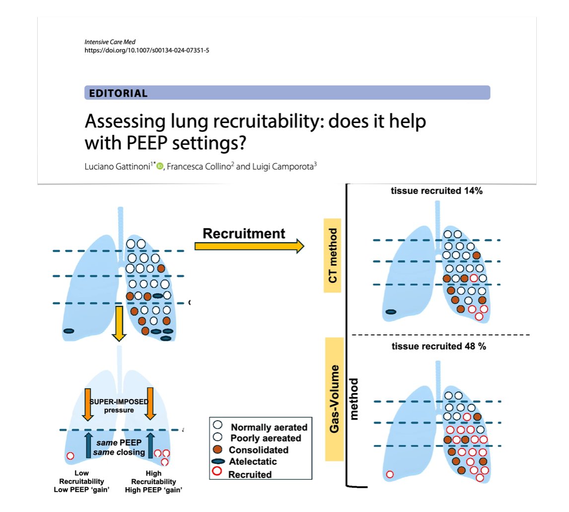 Assessing lung recruitability: does it help with PEEP settings? 🫁 opening pressures 🫁 recruitment maintenance 🫁 interaction between opening pressure & PEEP 🫁 available methods to assess recruitment 🫁 clinical implications #FOAMcc on @yourICM 🔓 rdcu.be/dCJr0