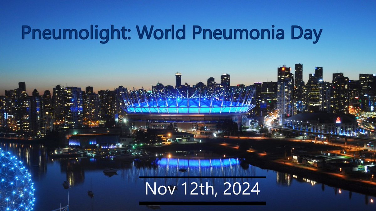 #Pneumolight 2024 is launched On 12 November 2024, Pneumolight is inviting all authorities, organisations and the general public to help increase visibility of #pneumonia worldwide