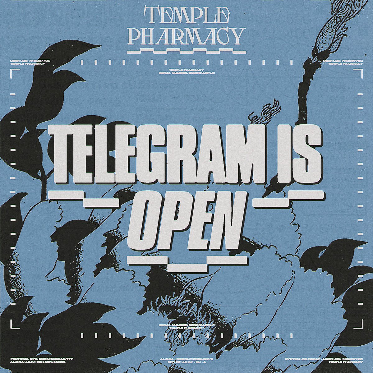Official Telegram for $TEMPLE is now OPEN. 🏯 For the latest updates join here: t.me/TemplePharmacy… The token is launching shortly. We'll use our telegram channel to announce the LP creation. Tag a friend below to register for the last-minute airdrop.