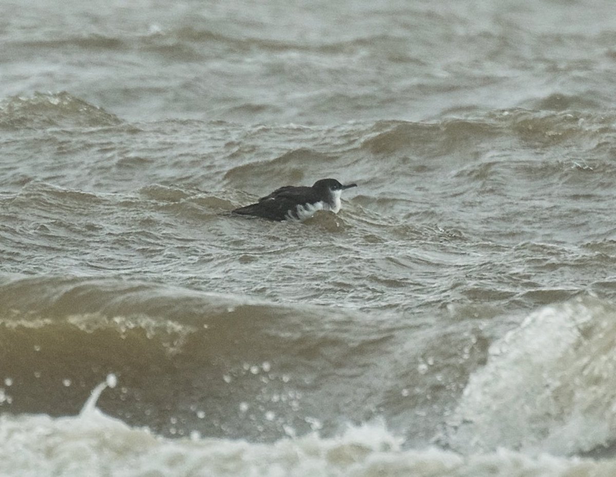 Steve Groves tweet media