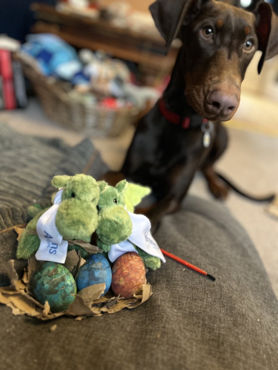 DanniiAshtonsL's tweet photo. HAPPY EASTER! Thank you @NicolaCircleCM @rthorp1 @CircleCM for sending me some very special eggs.. I have our Ashtons dragons and Daisy the Doberman looking after them so they can hatch! #circlecasemanagement #easter #YearOfTheDragon https://t.co/wfBI8RXj5M