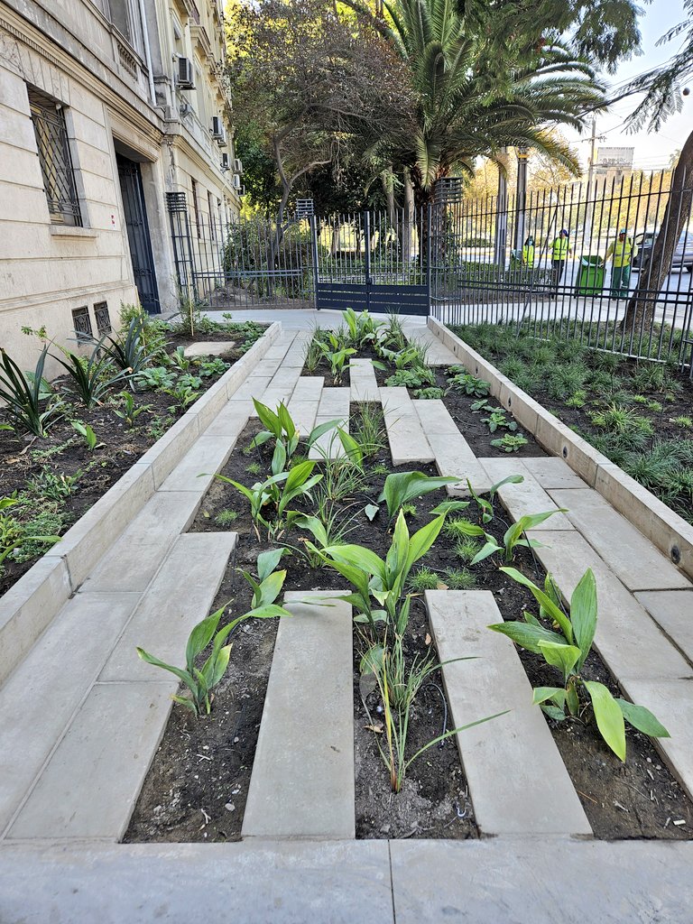 sebastian_gray's tweet photo. Inaugurado ayer el Jardín de la Facultad de @derechouchile con bella ceremonia. Felitaciones @ruiztaglepablo
@Renee_marlene @evelynmatthei @Muni_provi y muchos más! https://t.co/Nl8f85nwqb