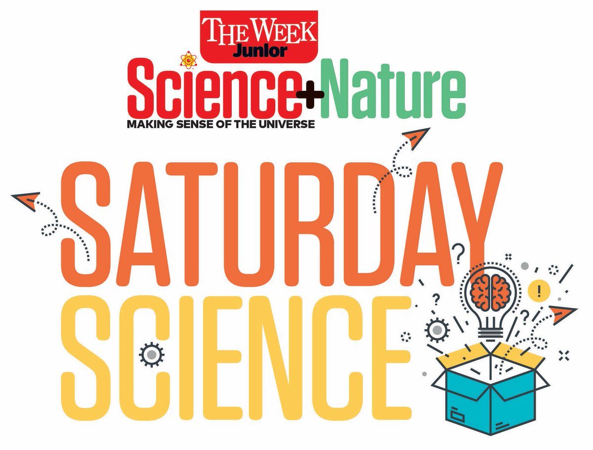 🐰 Easter is just around the corner, and if you're already stuck for ideas, maybe our weekly newsletter will help. This week we feature an egg-cellent activity and take a sneak peek into the latest issue of the magazine. Sign up for fun ideas and more: sciencenature.theweekjunior.co.uk/newsletter