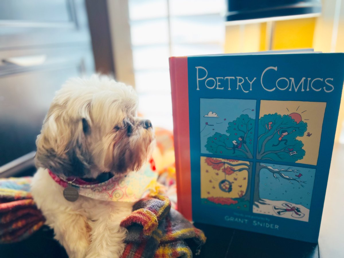 TrinityEliteEdu's tweet photo. ๐ปEnjoying this beautiful day with some beautiful poems! ๐ป
#PoetryComics #GGsBookStack #ParkersBookJoy https://t.co/GvX5fSTxqe