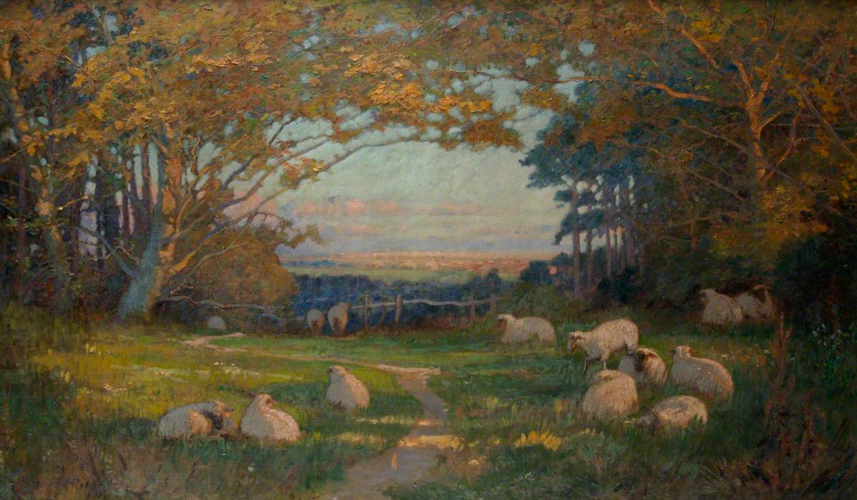 William Herbert Allen (1863 - 1943) - Sheep in the Meadow. Oil on canvas. #EnglishArt #BritishArt