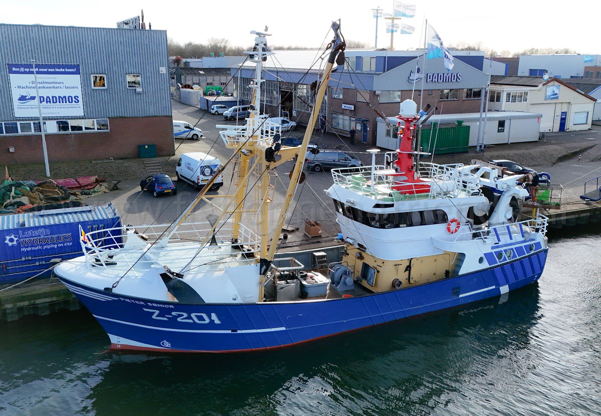 Fisherman's Friend🐟 tweet media