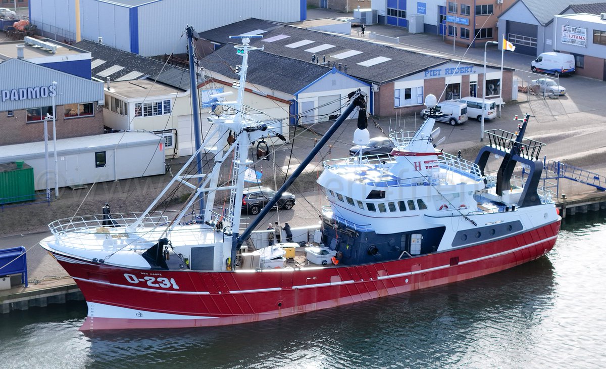 Fisherman's Friend🐟 tweet media