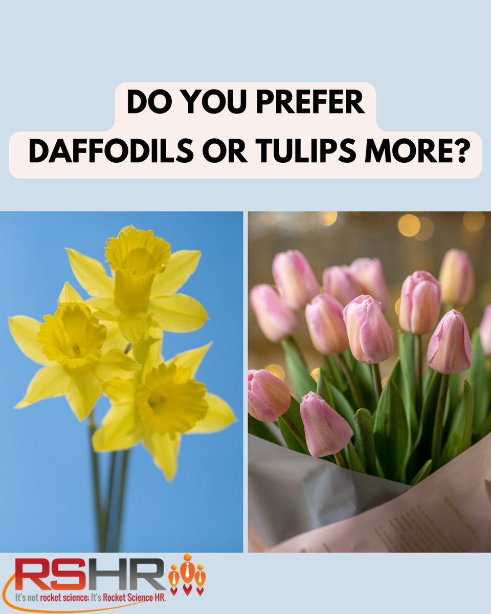 RocketscienceHr's tweet image. #rocketsciencehr #teamrocketsciencehr #workworksforeveryone #2024bestyearever #focusonmyabilitynotdisability #knowthelaw