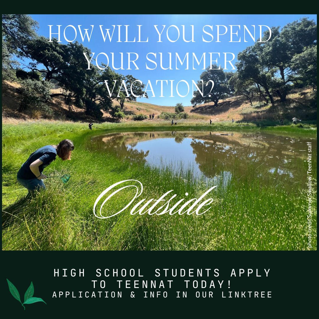 PepperwoodCA's tweet photo. Spend your summer break among peers, nature and science while building your resume, meeting science professionals and exploring the lands of Pepperwood! Applications open to students entering grades 10, 11 and 12 next fall.
https://t.co/qyZA6mnVCq https://t.co/7j0qeRoGI8