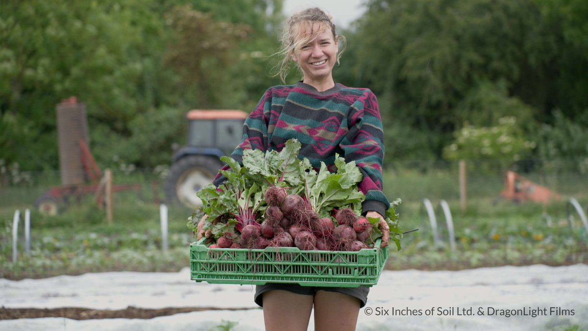 It's only 2 weeks until #SIXINCHESOFSOIL, our latest #GreenScreen lands at City Screen! Watch the inspiring story of young British farmers standing up against the industrial food system Plus there will be a panel discussion moderated by Tanja Hoffmann of the @H4GCResCentre