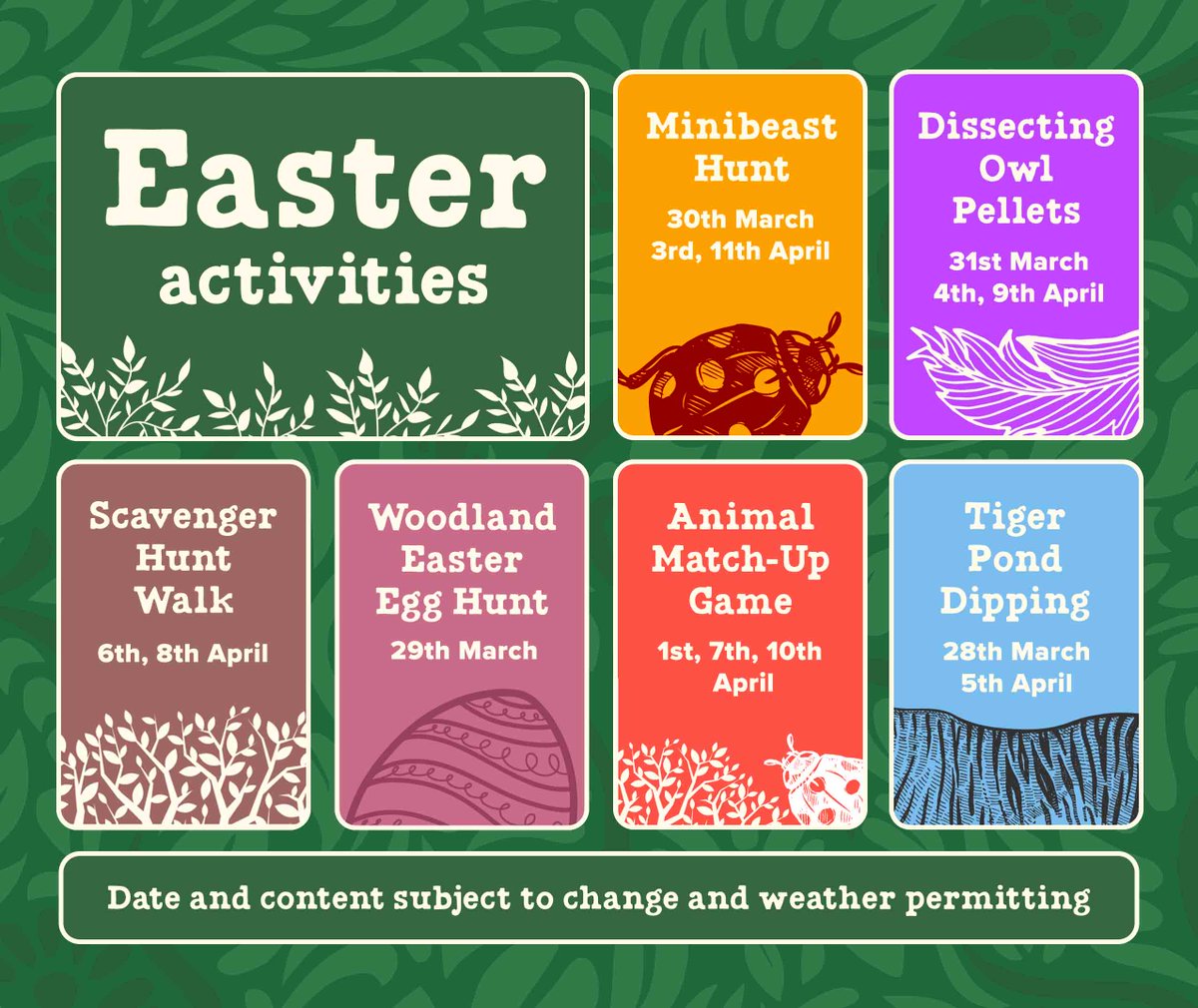 We've got lots of free, exciting activities to join in with this Easter! From pond dipping, to scavenger hunts, owl pellet dissecting and much more, join our Conservation Team daily for these hands-on activities!