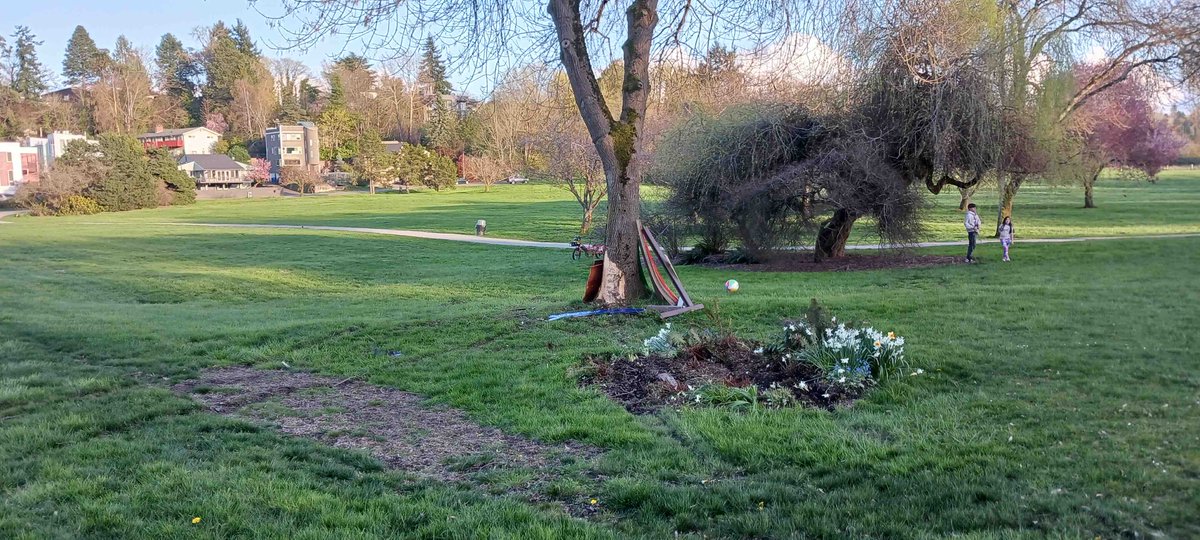 Rainier Valley Greenways Safe Streets tweet media