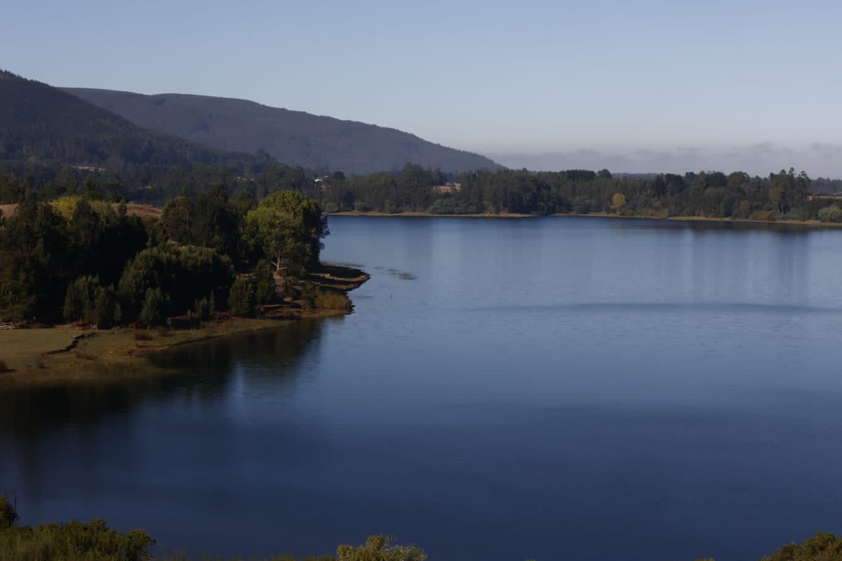 Estamos acompañando el #GobiernoPresenteBiobío junto a diversas seremías y servicios de la Región en la comuna de Cañete. 
Seguimos🌳🌟
