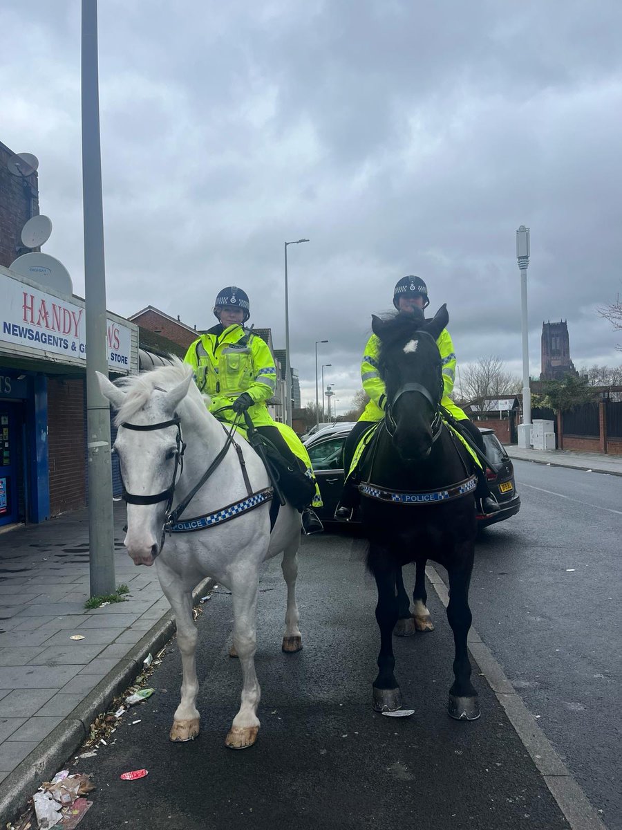 Our officers went out on another patrol this afternoon to the L8 area in Liverpool on Silver and Owen. 
#StandTall #PHOwen #PHSilver #MountedPatrols