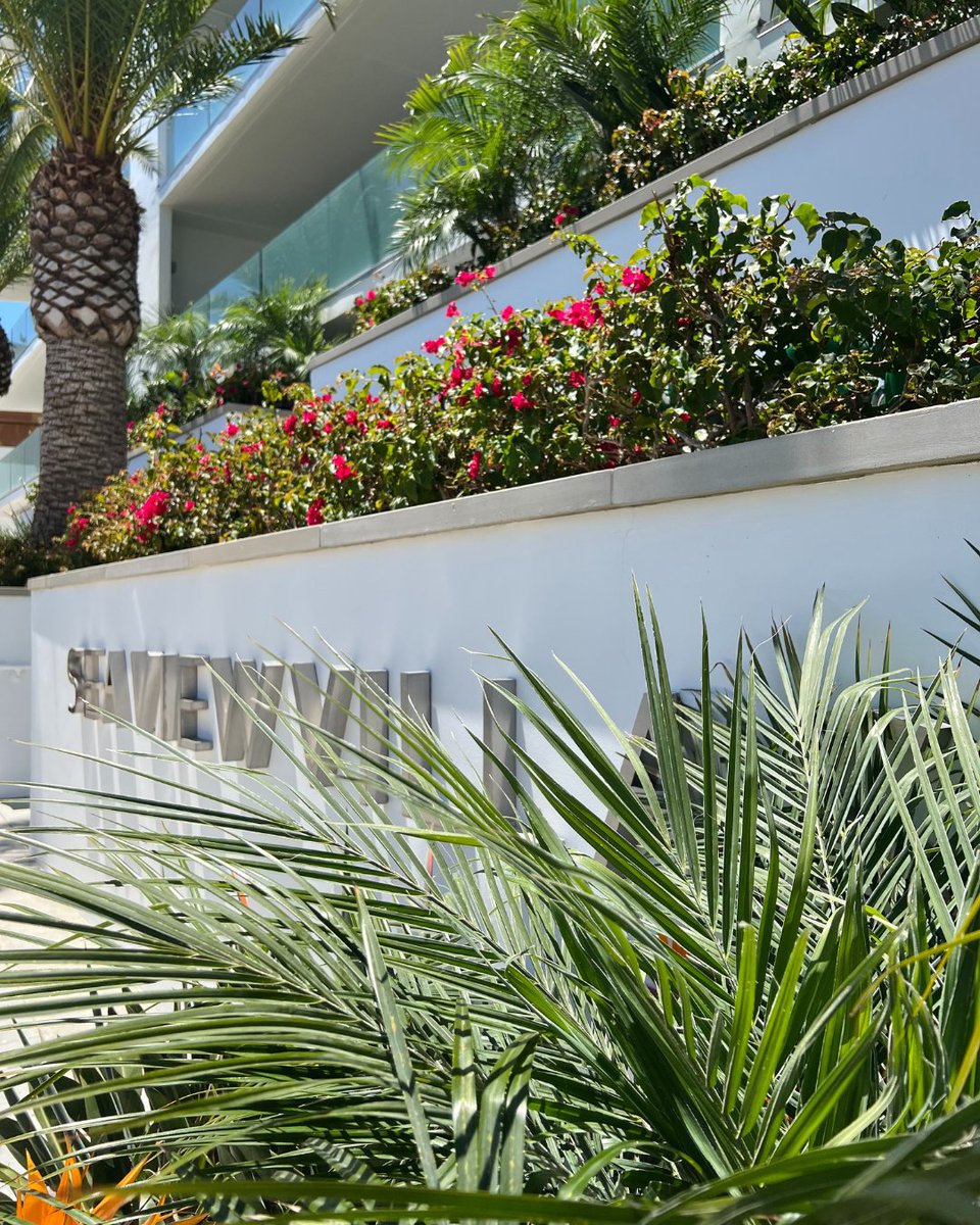 GHPmgmt's tweet photo. Embrace coastal luxury in Pacific Palisades &amp; Malibu! Experience breathtaking ocean views and spacious living at Sea View Villas – units with over 3.000 square feet of elegance. Apply now and elevate your lifestyle to new heights! #PacificPalisades #MalibuLiving... https://t.co/PUYKaMShQJ