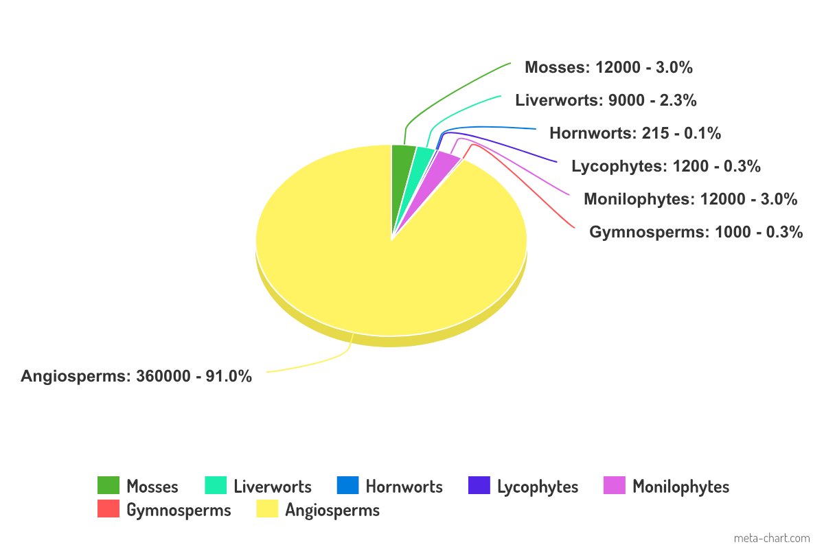 I always find it interesting when people apply the scala naturae to land plant evolution. Looking at the species numbers of the 7 main phyla of plants, we can see that most vascular plant phyla, except angiosperms, are species poor 1/