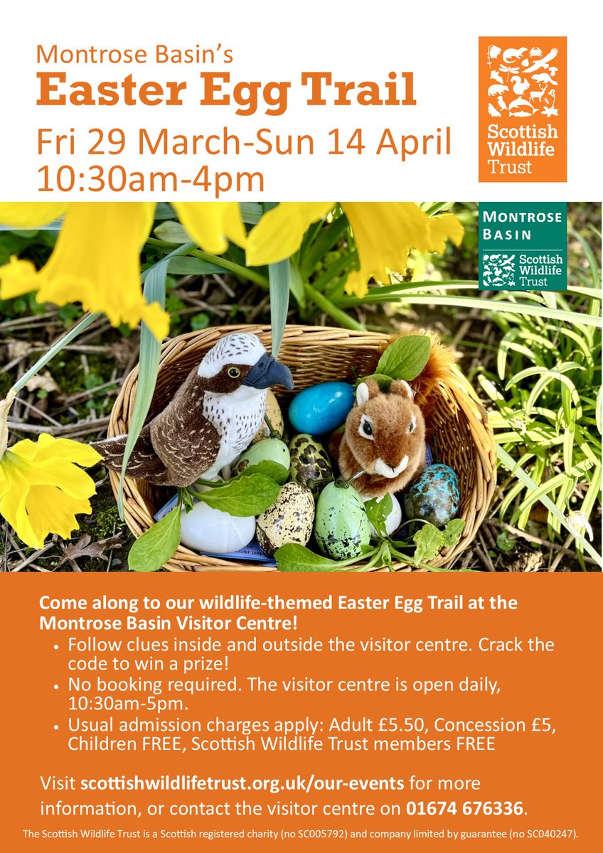 🪺Starting tomorrow!🐣 Our Wildlife Easter Egg Trail starts TOMORROW, 29th March. Find all the birds' eggs to win a prize, and learn lots about Scottish birds and their chicks along the way. 🐣