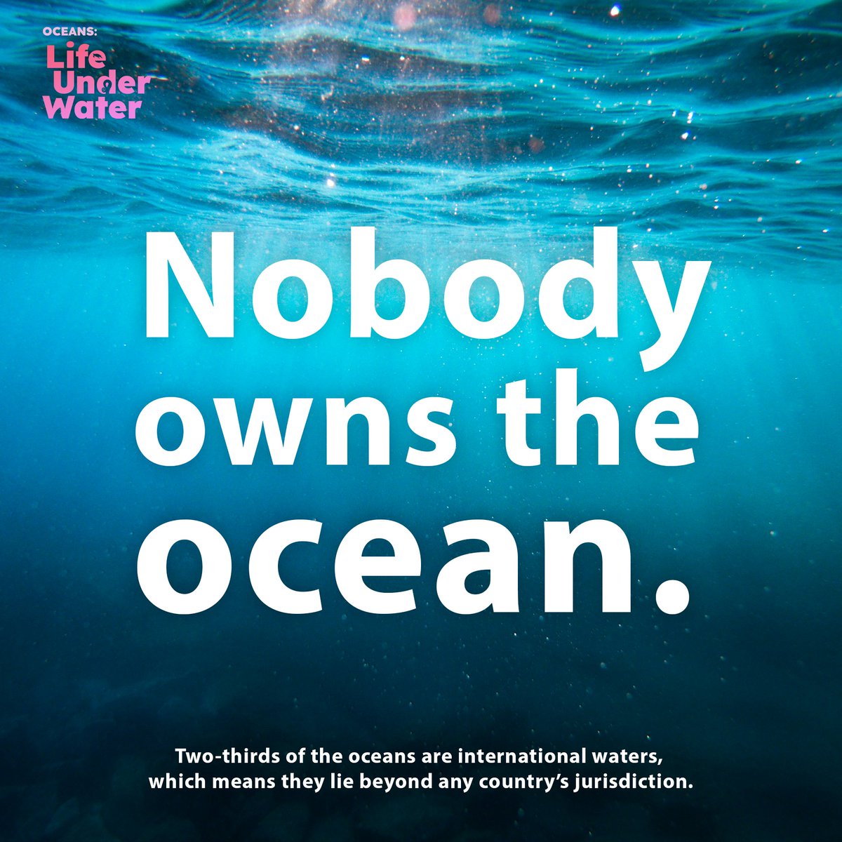 Nobody owns the ocean 🌊