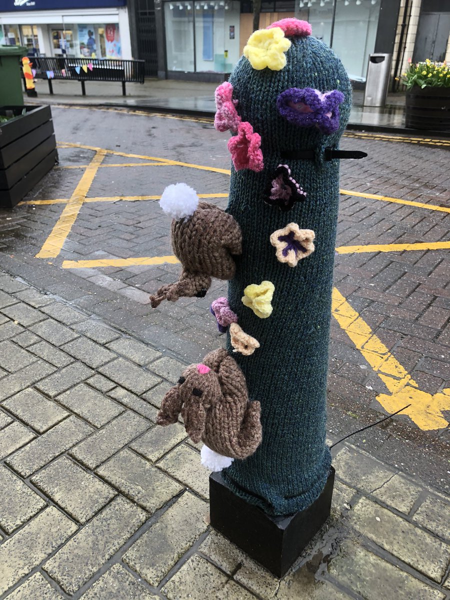 Well done Robyn one of our Bloomer volunteers for her amazing knitted Easter-themed bollard (1st one) and all the others decorating the town! Amazing skills from volunteers! @AlloaFirst @DiscoverClacks @clacksCTSI 🐥 🐇 🌹