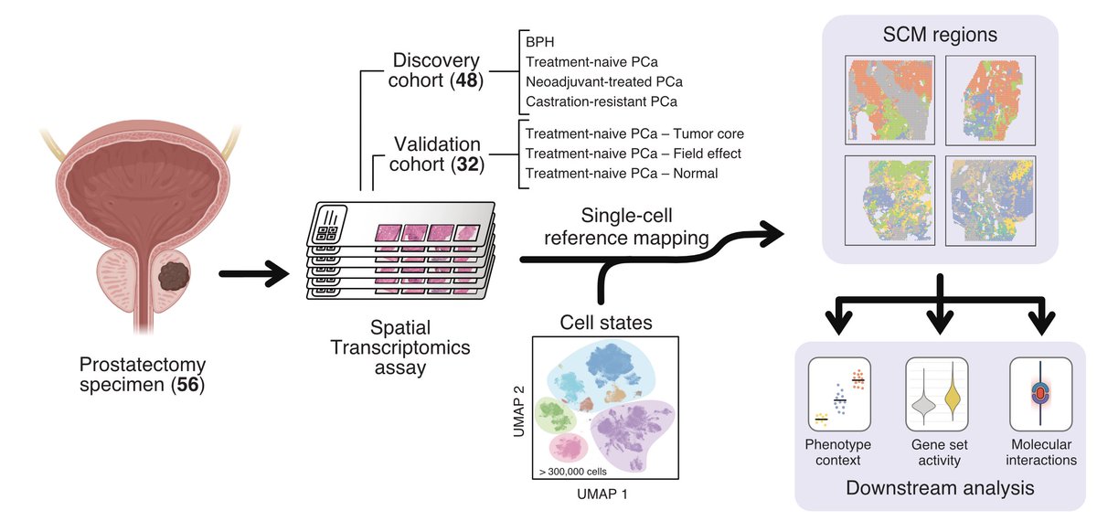 Antti Kiviaho tweet media