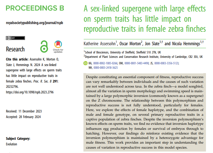 kassersohn's tweet photo. Delighted to share our latest paper, and the second chapter of my PhD, is now out in @royalsociety Proc B. With @HemmingsNicola1 @Jon_Slate @OMorton212.
We thoroughly explore the effects of a sex-linked supergene on reproductive traits in male and female zebra finches.. https://t.co/fhr5RQa9An