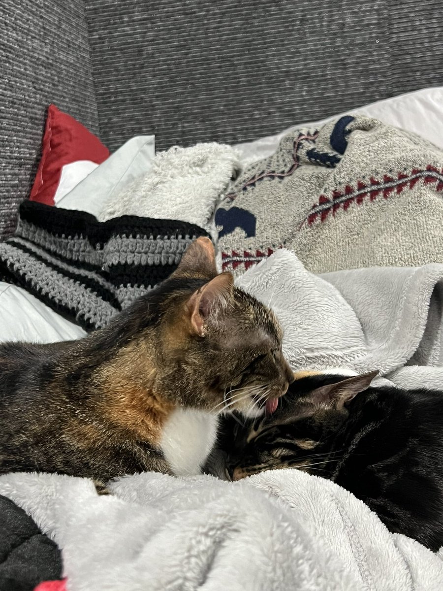 dream (@dreamwastaken) on Twitter photo 