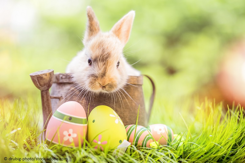 Wir wünschen allen ein schönes Osterfest! 🐇