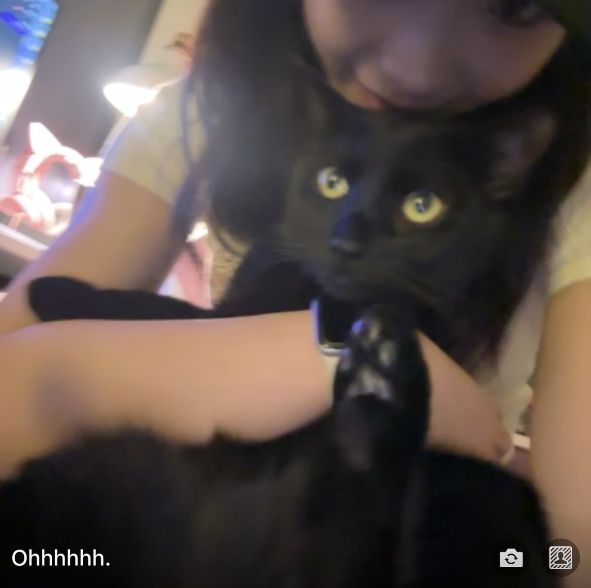 Shirley_chenn's tweet image. They are MINE🥰🥰🥰