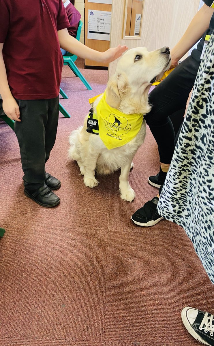 🐶 Chester is back! 🐶 This morning, we welcomed Kay & her beloved therapy dog Chester back! Chester enjoyed revisiting our children & staff. We all truly enjoyed the visit & we are excited for our next visit really soon! @TherapyDogsUK @Rise_MAT #FlourishAndSucceed