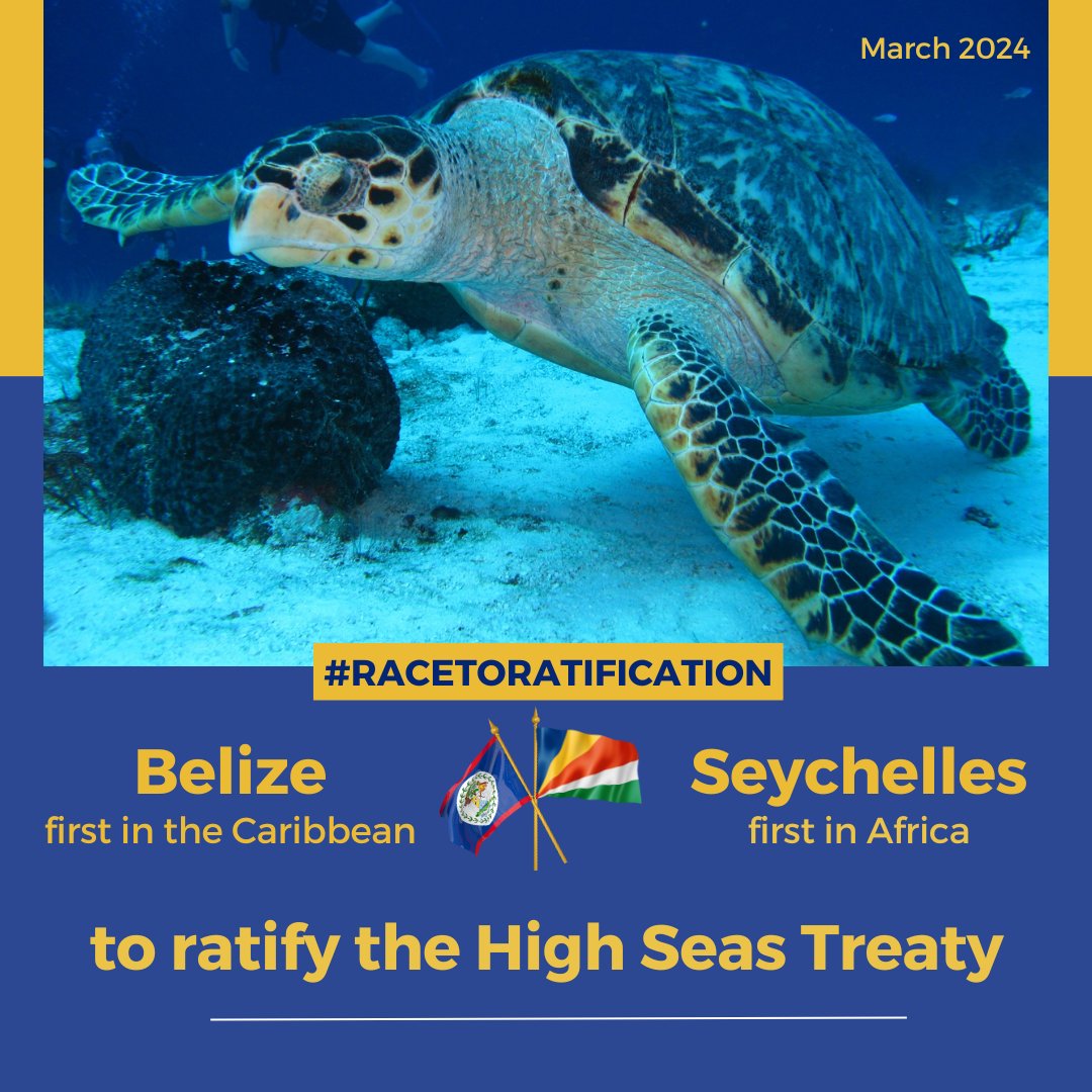 PGA congratulates parliamentarians in #Seychelles & #Belize for their efforts and progress made towards the ratification of the #HighSeasTreaty in their countries in the last weeks. We encourage MPs to continue this momentum and ensure the Treaty's timely entry into force!