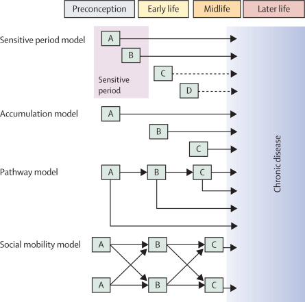 swissepi's tweet image. 👍 @MikaKivimaki @TheLancetPH @TheLancet @FLAHAULT @PopHealthLabCH #PopHealthLab @SerenaSabatini @societyforepi