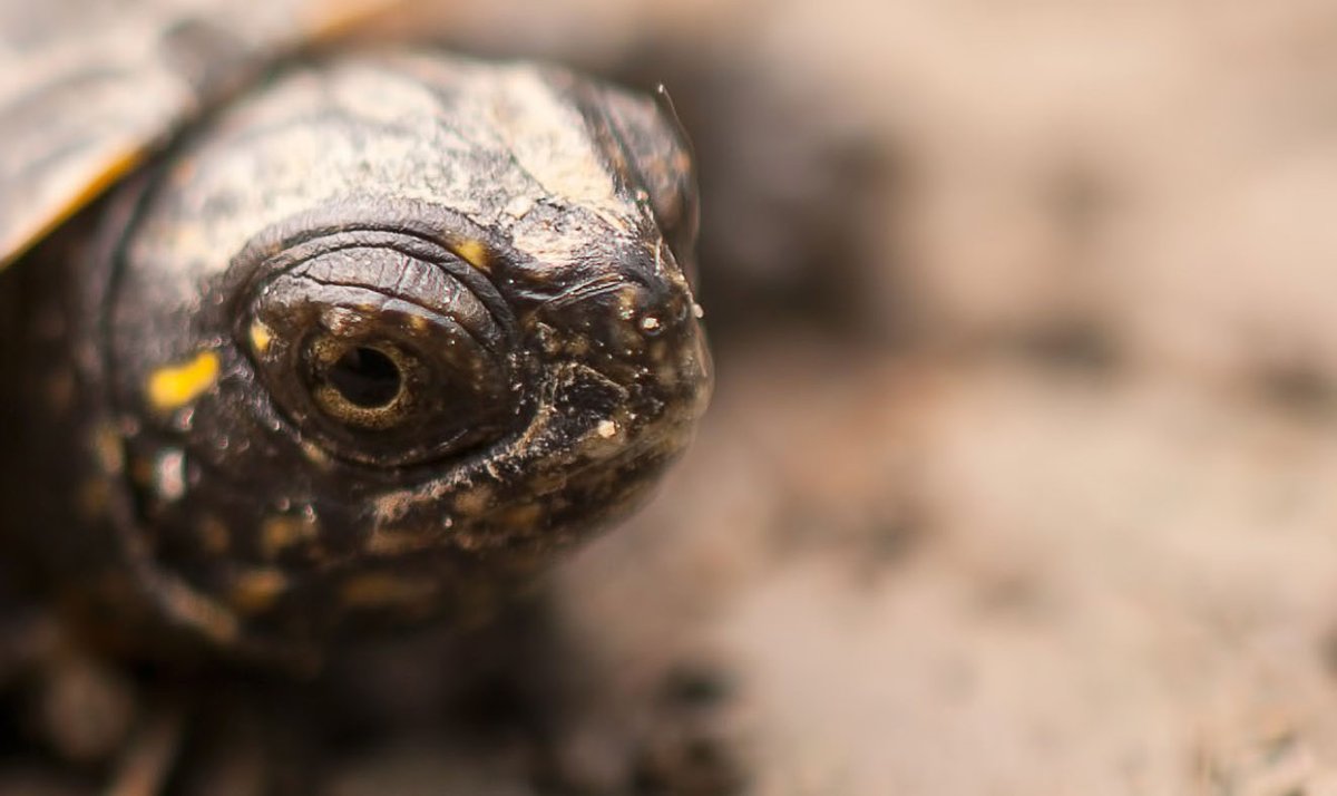 Dreamers Creative Writing tweet media