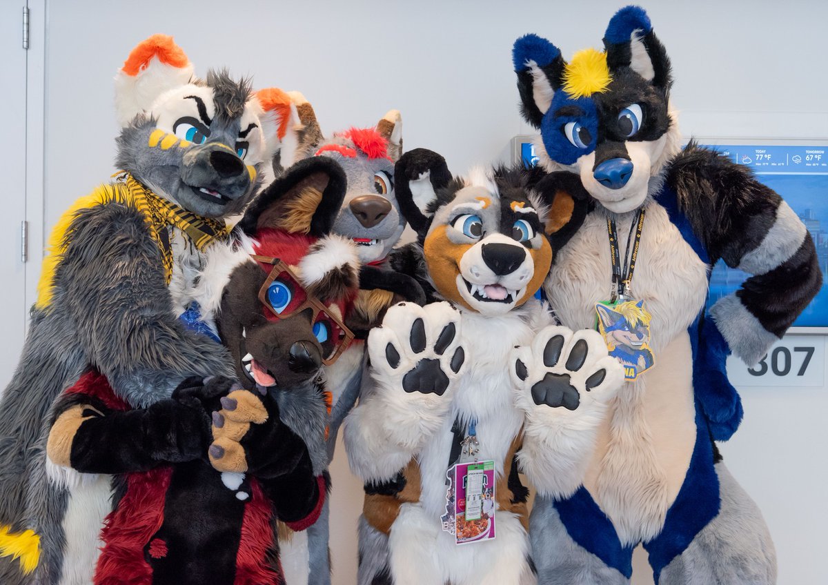 Look at all these cuties! 📸: @ChaparralCoyote