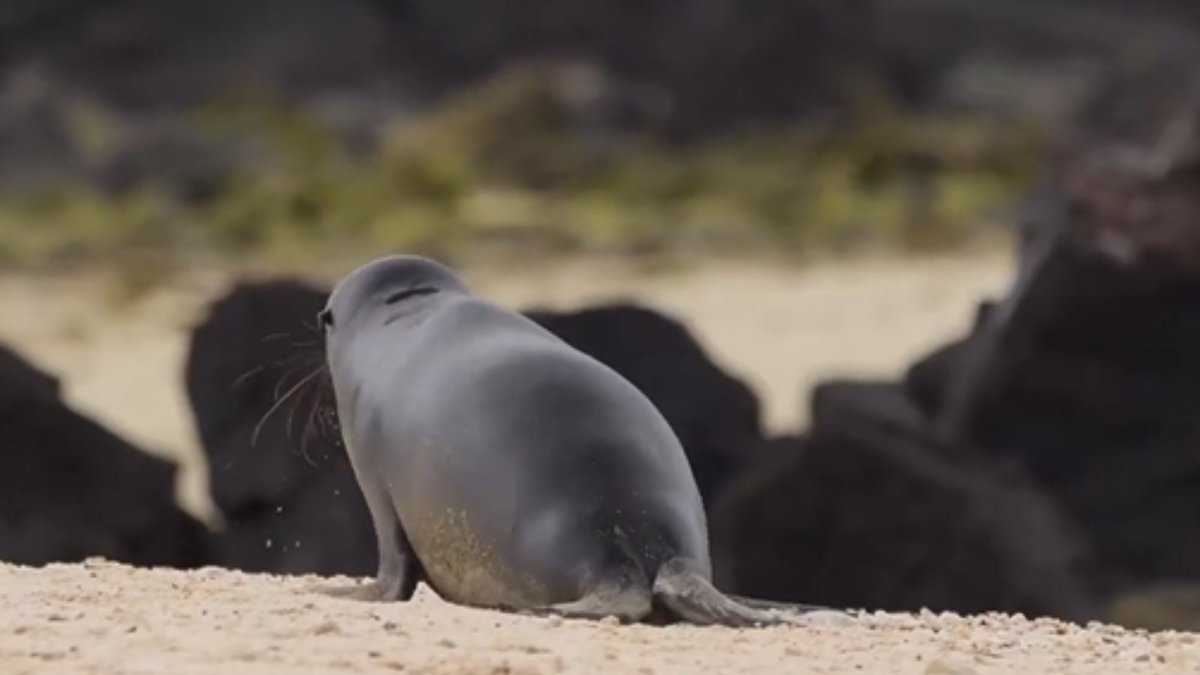 Looking at #photographer Ty Newcomb’s page is enough to give anyone wanderlust. 

While balancing globetrotting and working with clients, Ty found that Ci offers features missing from his existing tools. See his experience in the #video below. 👇 bit.ly/3PrFoQM