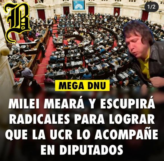 No cree en la democracia #JuicioPoliticoAMileiYa