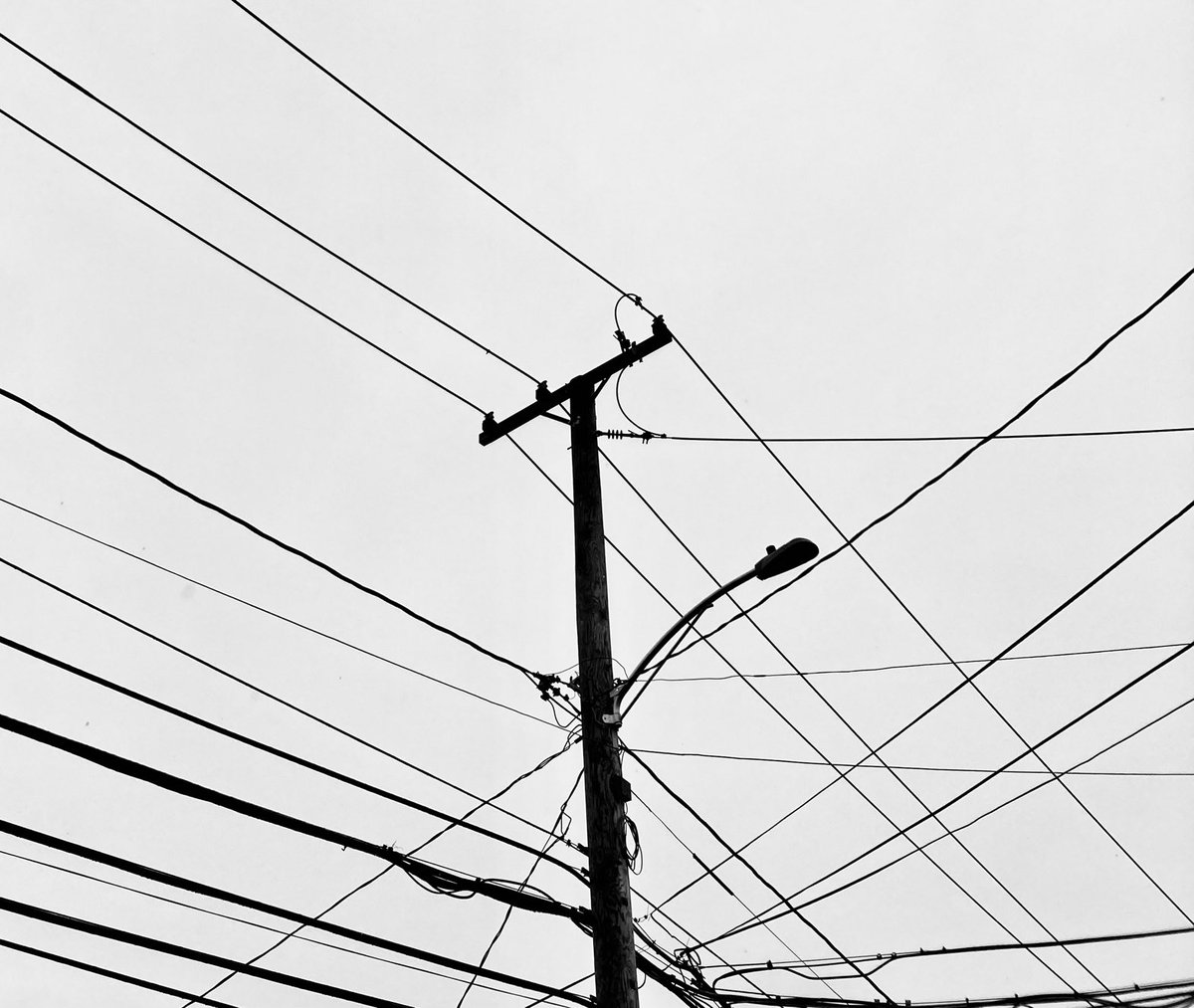 Allone34789's tweet photo. #NaturePhotography
#Naturephotography
#photography #Photography
#nature #naturelovers
#sky #grayclouds #telephonepolewire
#rainyThursday #outside #seasons
#March #naturesbeauty
#Spring #clouds https://t.co/9DMnM0bo0M