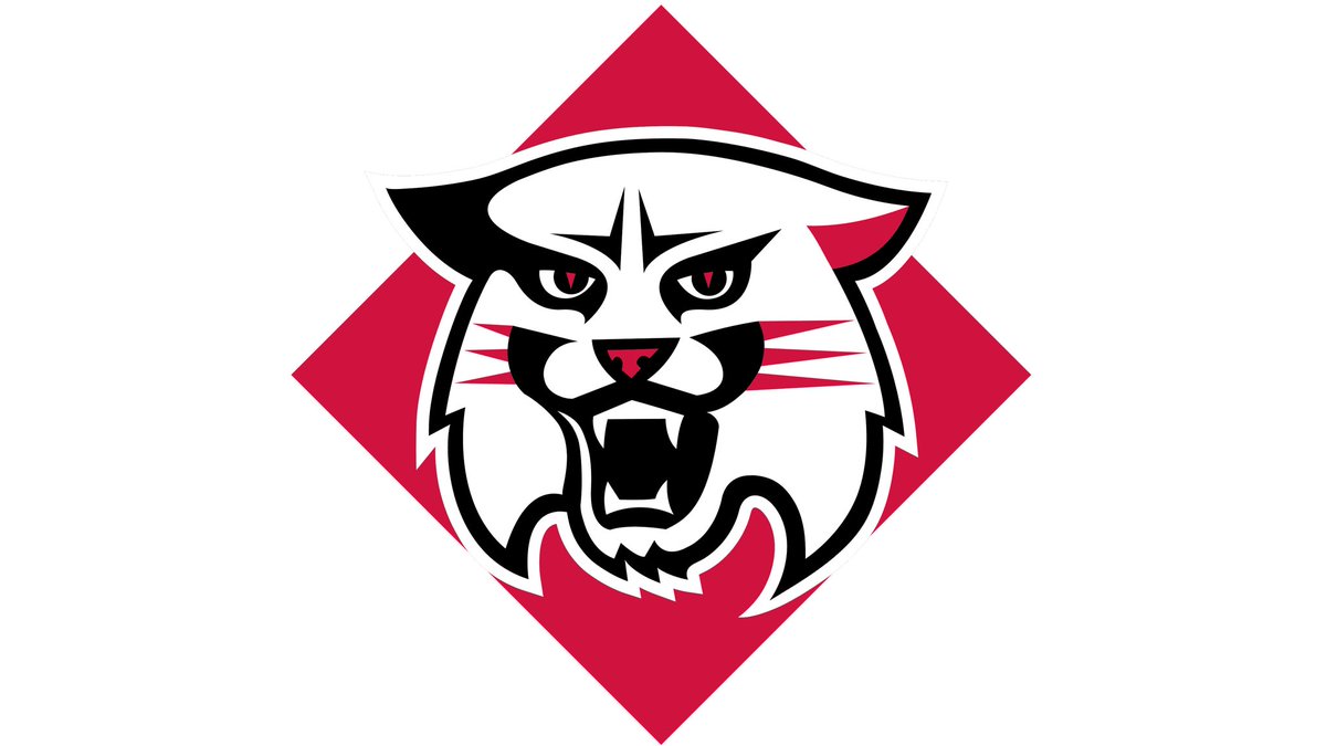 I am grateful to receive a D1 offer to continue my academic and athletic career at Davidson College!! Go wildcats ❗️❗️@Scott_AbellFB @Coachstewnewman @QBCountry
