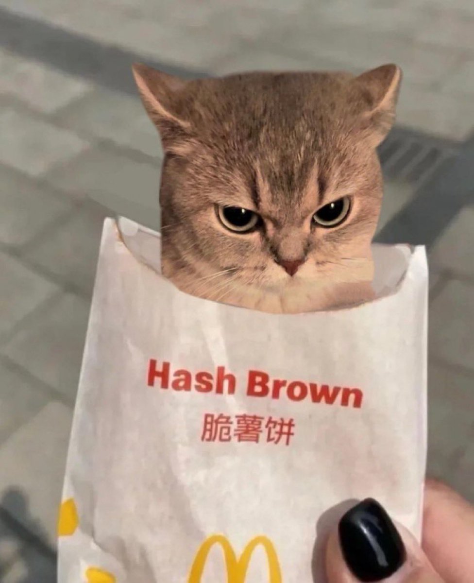 angy hash brown