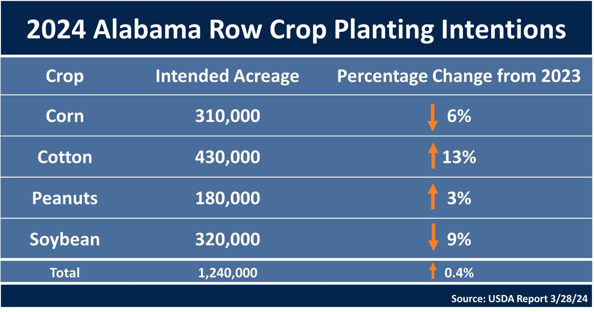 2024 Alabama intended acres via @USDA. Cotton +13%, soybean -9%, corn -6% and peanuts +5%. #ALcrops @ACESedu @AuburnAg